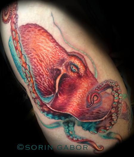 Tattoos - Realistic color custom octopus tattoo - 120625